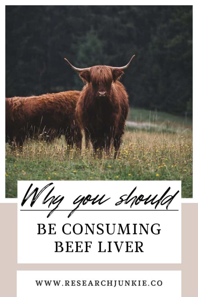 CATTLE IN an open field, why you should be consuming beef liver. 