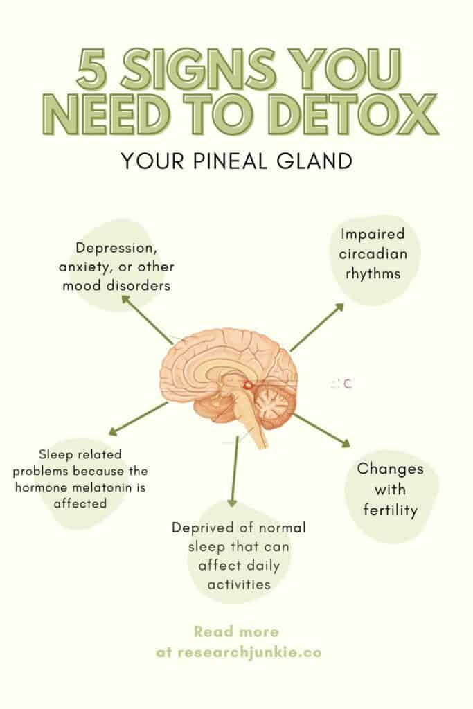 A informational chart on 5 signs you need to detox your pineal gland