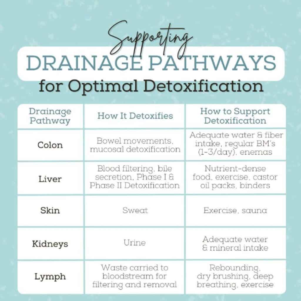 supporting drainage pathways for optimal detoxification and to reduce toxid load in the body